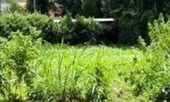 Imagem 5: Terreno em Ibiúna acessível, doc ok