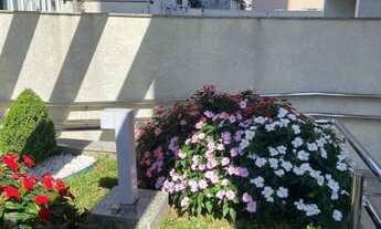 Imagem 7: Apartamento - Venda - Guarulhos, São Paulo