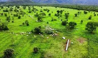 Imagem: Fazenda com 981he c/ 650he abertos, 50km