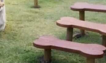 Imagem 5: Apartamento a venda com 3 quartos, suite, varanda, lazer. Em Zumbi - Recife - PE