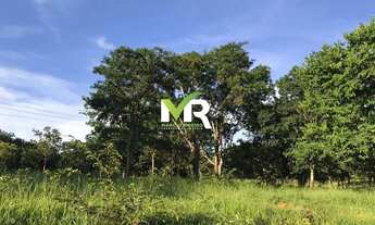 Imagem 5: Fazenda 64 alqueires em Marzagão