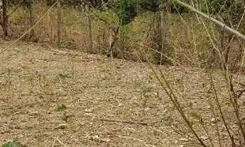 Imagem 5: Vendo um lote em Brazlândia DF