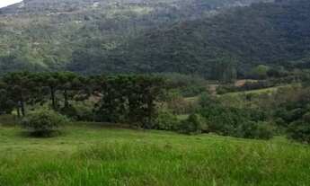 Imagem 2: Sítio em Morro Calçado - Morro Calçado - Canela/RS