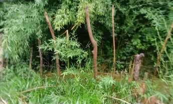 Imagem 2: Terreno à venda com 1.500m² no Chácaras Caxingui Embu das Artes/SP