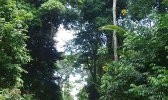 Imagem 2: Linda chácara Chácara com venda por R$95.000