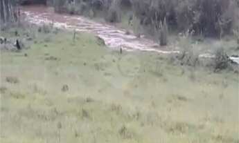 Imagem 7: Área de Terra à venda em Área Rural de Monte Mor, Monte Mor - SP