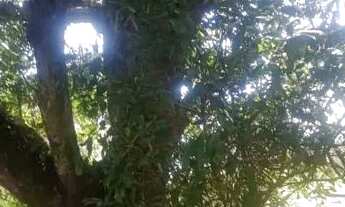 Imagem 3: TORRO 3 terrenos em condomínio fechado GuaibaRS