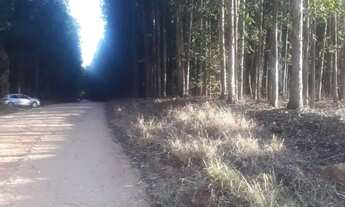 Imagem 4: Terreno residencial à venda em tanquã, são pedro