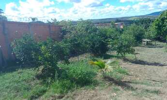 Imagem 3: Vendo Chácara com venda por R$230.000