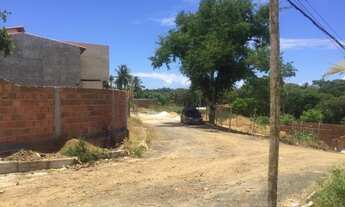 Imagem 6: Lote em boca da mata - Próximo ao residencial franco gilbert