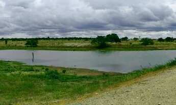 Imagem 5: Fazenda com 606 tarefas, em Ipirá-BA