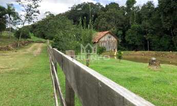 Imagem 6: Sítio em Canastra !!