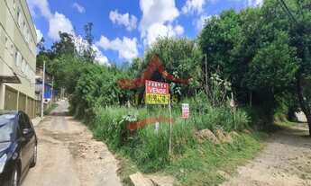 Imagem 5: PORTO ALEGRE - Terreno Padrão - Agronomia