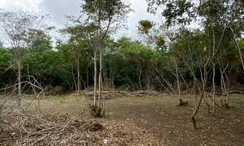 Imagem 7: Terreno bem próximo da Padaria Recanto Verde