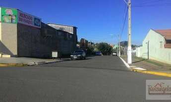 Imagem 3: Terreno, Primavera, Esteio