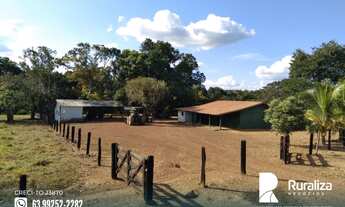 Imagem 3: Fazenda para pecuária na região de Tabocão - TO