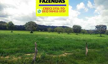 Imagem 3: Fazenda região de Cristalândia 140 alqueires