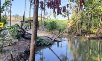 Imagem 3: FAZENDA À VENDA EM PACAJÁ - PA - 968 HECTARES (PECUÁRIA