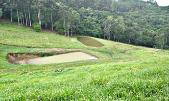 Imagem 7: Fazenda/Sítio/Chácara para venda com 60000 metros quadrados com 2 quartos