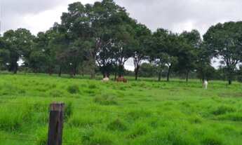 Imagem 4: Fazenda Extra - Cocalinho (MT