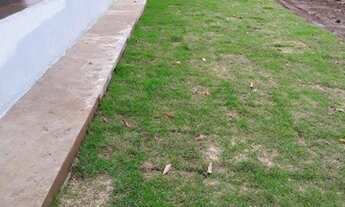 Imagem 5: FAZENDA À VENDA EM NOVO REPARTIMENTO - PA- 1868 HECTARES (DUPLA APTIDÃO