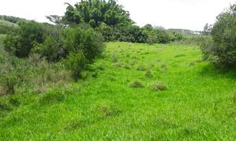 Imagem 3: Terreno 28 Hectares em Passa Tempo Rico em Agua