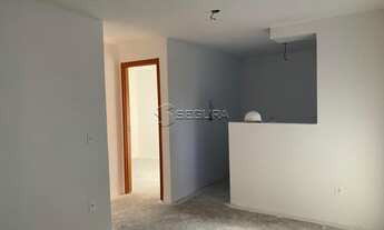 Imagem 6: CANOAS - Padrão - São José