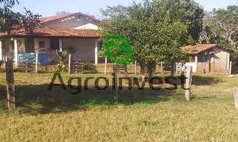 Imagem 2: Sítio em Nazário-GO