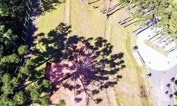 Imagem 2: CURITIBA - Terreno Padrão - Campo Comprido