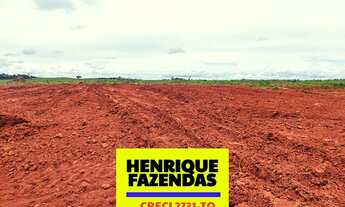 Imagem 2: Fazenda Vale do Araguaia Tocantins 500 alqueires