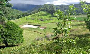Imagem 5: Fazenda/Sítio/Chácara para venda com 60000 metros quadrados com 2 quartos