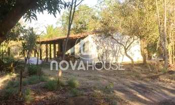 Imagem 5: EXCELENTE CHÁCARA COM 2,91 HÁ, 10KM DA AMBEV,; CASA; ENERGIA; POÇO ARTESIANO; POMAR E MUI