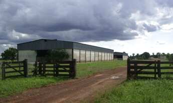 Imagem 3: Grande e Produtiva Fazenda em São Felix do Araguaia - MT