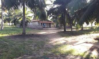 Imagem 3: Fazenda 87,31 tarefas em Conde