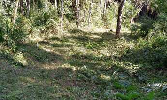 Imagem 5: Terreno para chácara de 9.600 m²