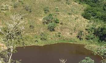 Imagem 3: Lindo Terreno em Igaratá