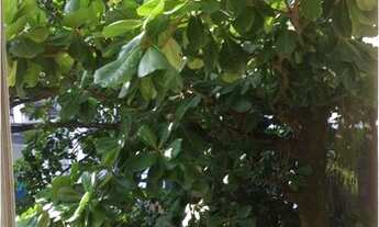 Imagem 4: Apartamento para venda com 90 metros quadrados com 3 quartos em Botafogo - Rio de Janeiro