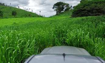 Imagem 7: Fazenda para Venda em Ponte Alta do Tocantins