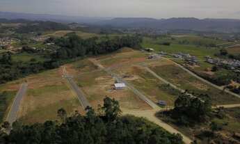 Imagem: COCAL DO SUL - Terreno Padrão - Centro