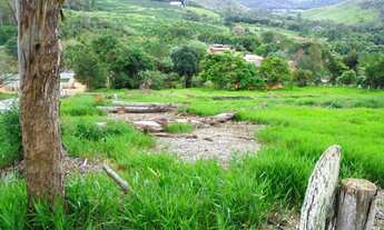 Imagem 7: VIçOSA - Chácara - Violeira