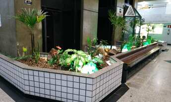 Imagem 3: Ponto comercial/Loja/Box para venda possui 30 metros quadrados em Barro Preto - Belo Horiz