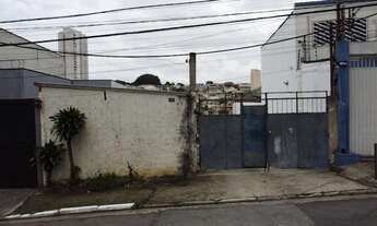 Imagem 3: Terreno em Vila Bertioga - São Paulo