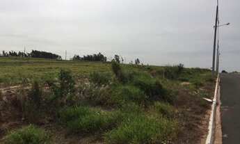 Imagem 6: Chácara em Rondon