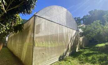 Imagem 2: FLORIANóPOLIS - Terreno Padrão - São João do Rio Vermelho