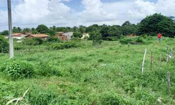 Imagem 2: Terreno beira de pista ideal para comércio galpão depósito medindo 25x30 metros