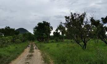 Imagem 6: Fazenda para Venda em Dianópolis