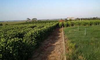 Imagem: Fazenda para venda possui 14 ALQUEIRES A