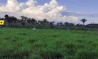 Imagem 6: FAZENDA À VENDA EM CODÓ - MA - DE 8,.583 HECTARES (Dupla Aptidão