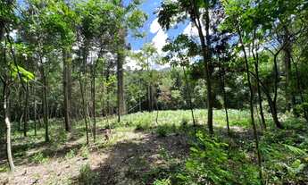 Imagem 6: Três Coroas , Cachoeira dentro da propriedade 4ha 369 mil