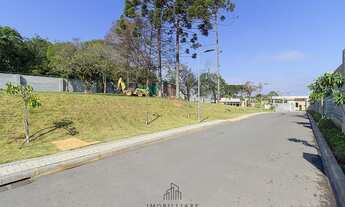 Imagem 3: Terreno em Santa Felicidade